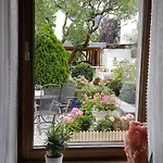 Bluetenreich Traben-Trarbach