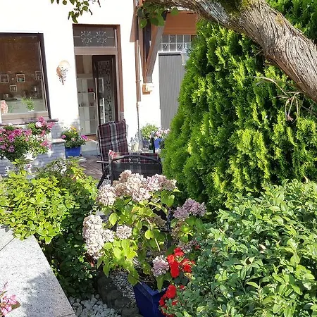 Bluetenreich * Traben-Trarbach